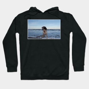 English Springer Spaniel Hoodie